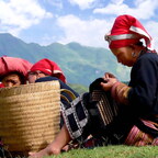 Hill Tribes