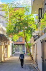City and Local Life of Saigon