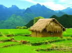 Vietnam Sapa Rice Fields 07