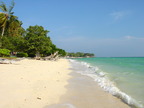 Beach and Ocean