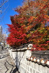 Atmosphere Local Life