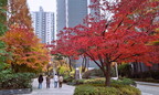 City and Local Life of Seoul