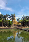 Myanmar Yangon Maha Wizaya Pagoda 01