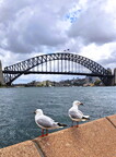 Australia Sydney Harbour Bridge 02